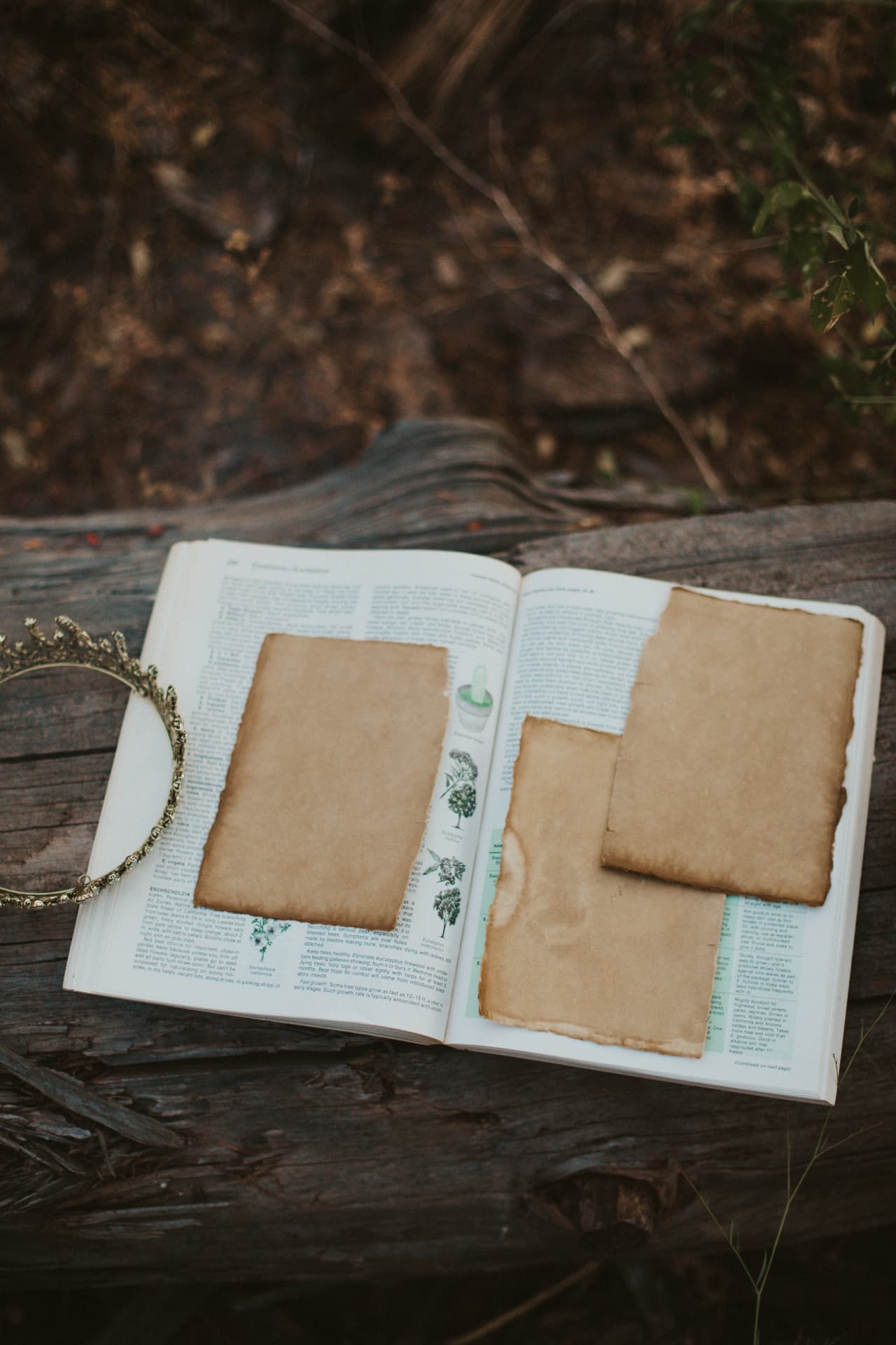 An open book and blank writing paper resting on a wooden bench